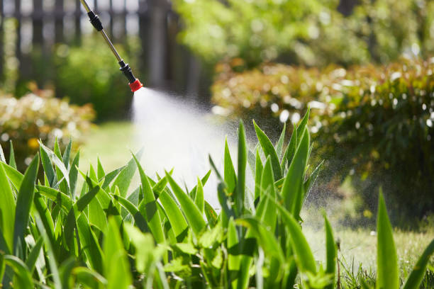 24/7 Emergency Cockroach Control experts in Enon, VA